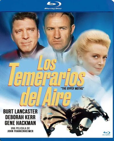 Póster de Los temerarios del aire