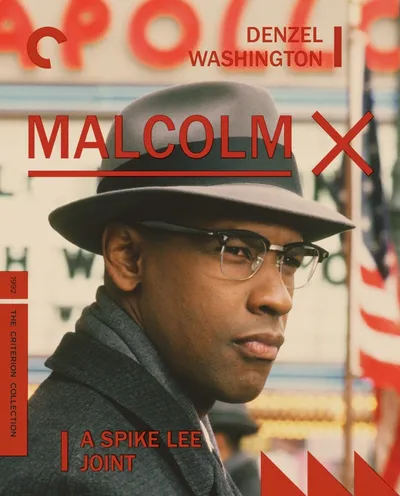 Póster de Malcolm X