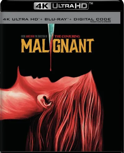Póster de Maligno