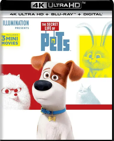Póster de Mascotas