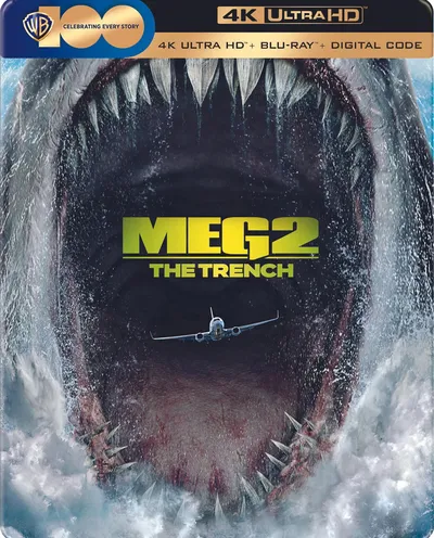 Póster de Megalodón 2: La fosa