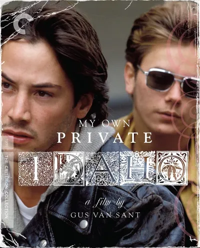 Póster de Mi Idaho privado
