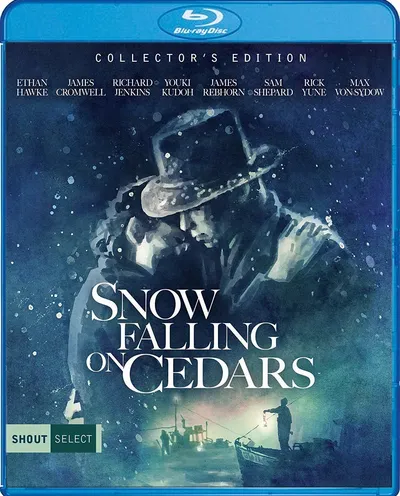 Póster de Mientras nieva sobre los cedros