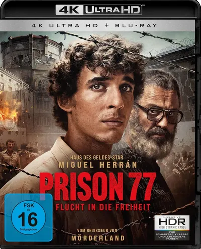 Póster de Modelo 77