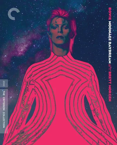 Póster de Moonage Daydream
