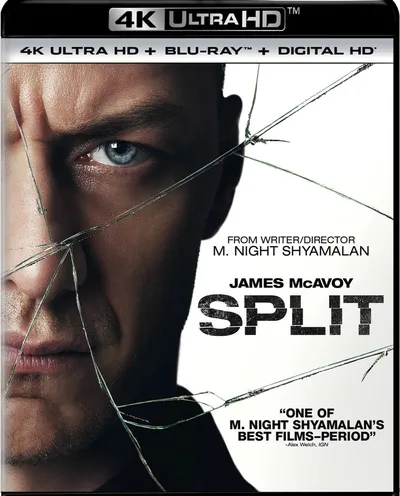 Póster de Múltiple