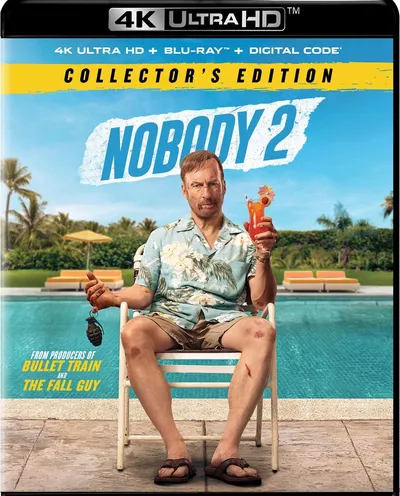 Póster de Nadie 2
