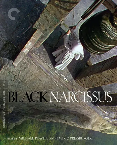 Póster de Narciso Negro