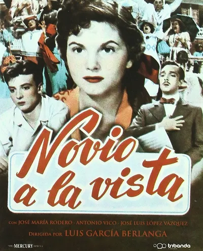 Póster de Novio a la vista