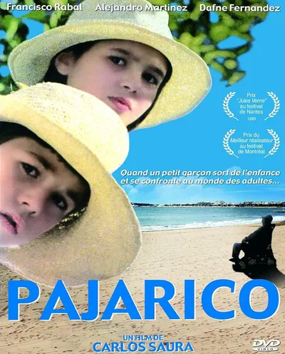 Póster de Pajarico