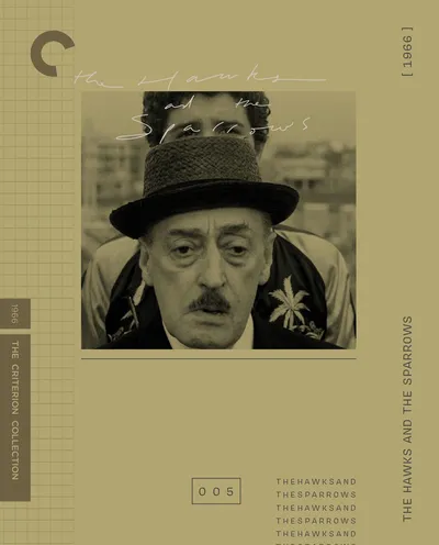Póster de Pajaritos y pajarracos