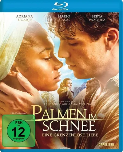 Póster de Palmeras en la nieve