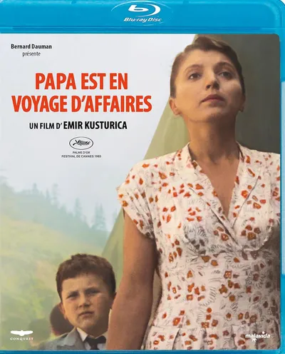 Póster de Papá está en viaje de negocios