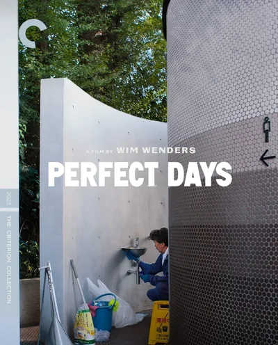 Póster de Perfect Days