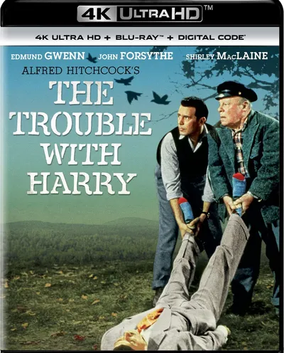 Póster de Pero... ¿quién mató a Harry?