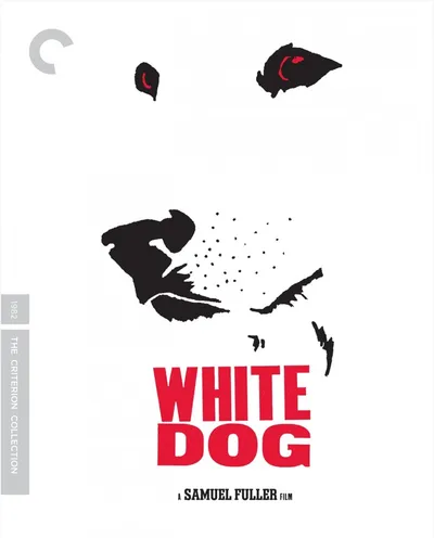 Póster de Perro blanco
