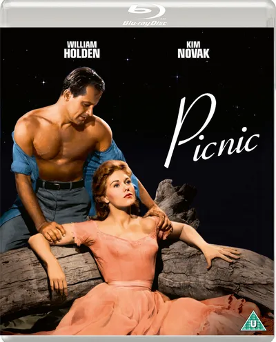 Póster de Picnic