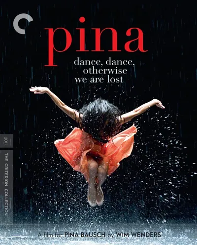 Póster de Pina