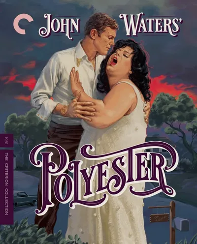 Póster de Polyester