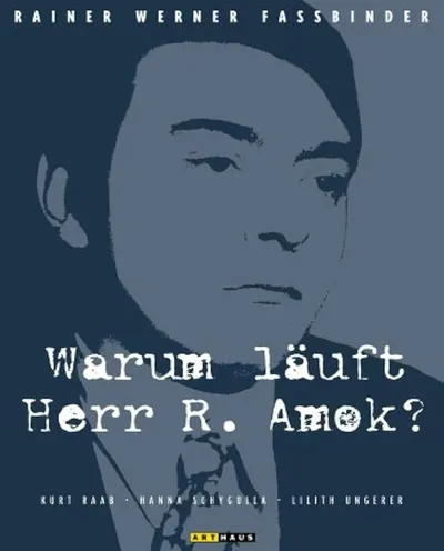 Póster de ¿Por qué le da el ataque de locura al señor R.?