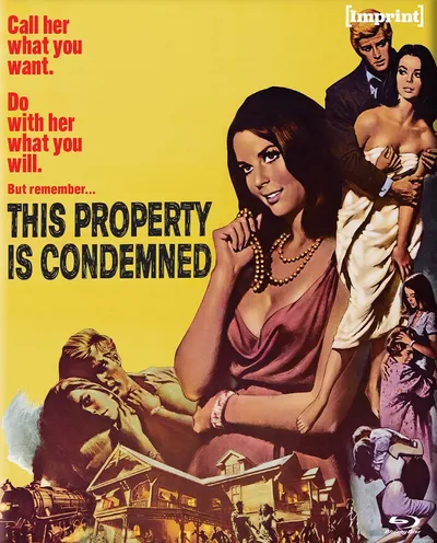 Póster de Propiedad condenada