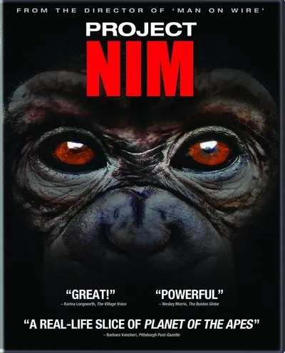 Póster de Proyecto Nim