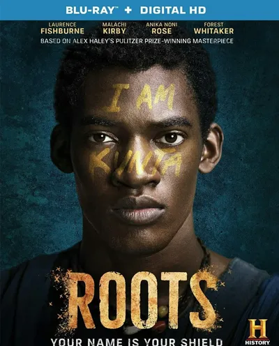 Póster de Raíces