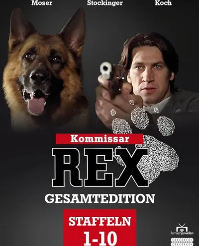 Póster de Rex, un policía diferente