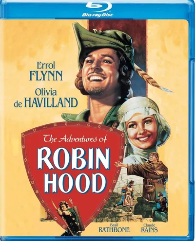 Póster de Robin de los bosques