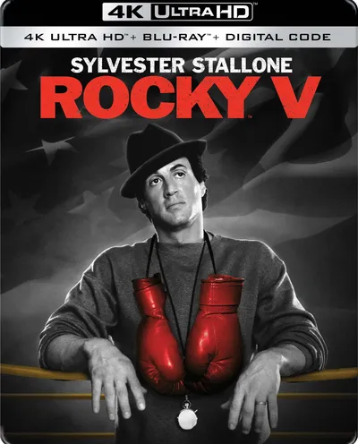 Póster de Rocky V