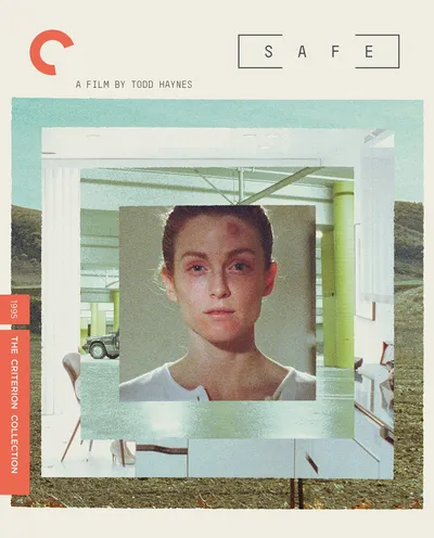 Póster de Safe