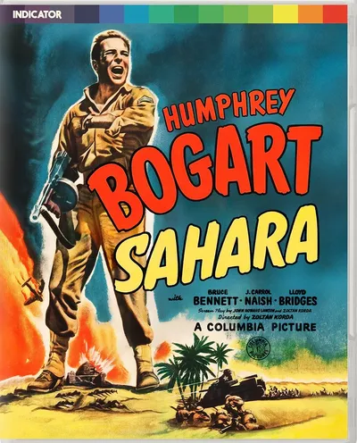 Póster de Sahara