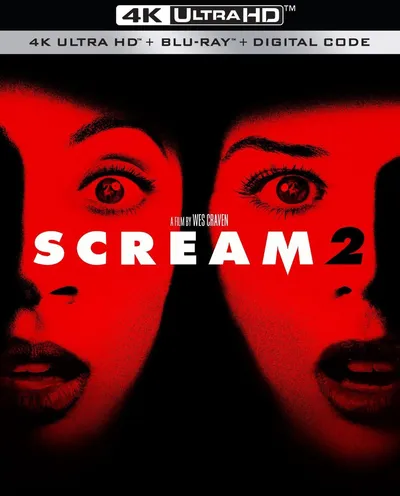 Póster de Scream 2