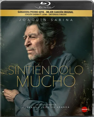 Póster de Sintiéndolo mucho