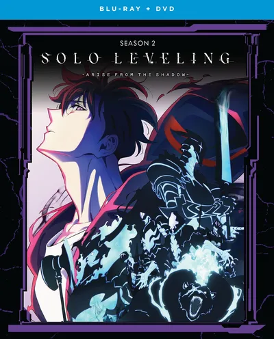 Póster de Solo Leveling