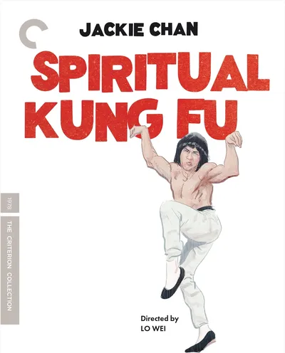 Póster de Spiritual Kung Fu