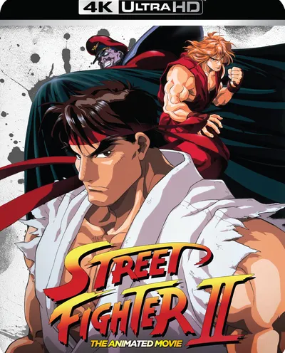 Póster de Street Fighter II: La película