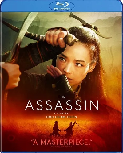 Póster de La asesina