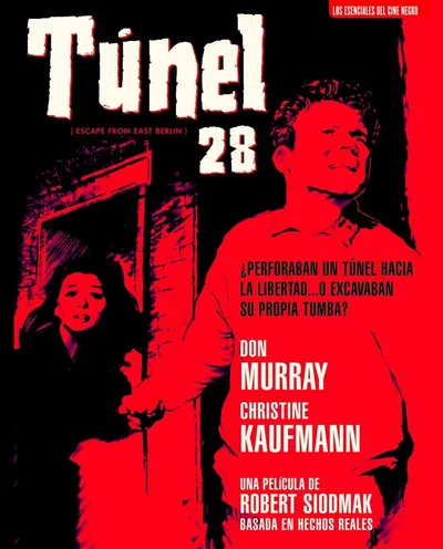 Póster de Túnel 28
