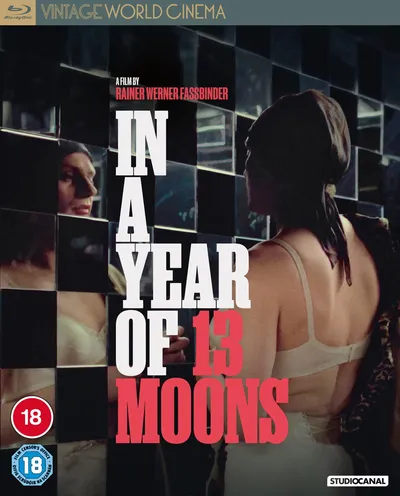 Póster de Un año con trece lunas