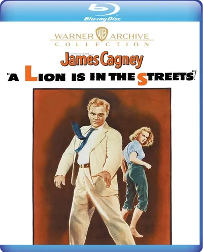 Póster de Un león en las calles