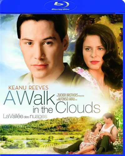 Póster de Un paseo por las nubes