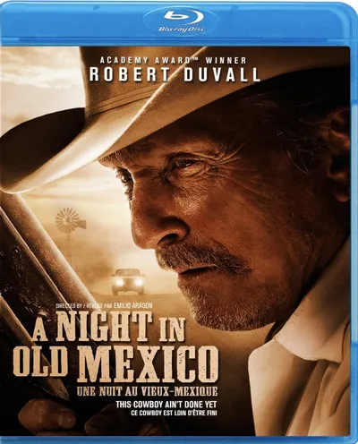Póster de Una noche en el viejo México