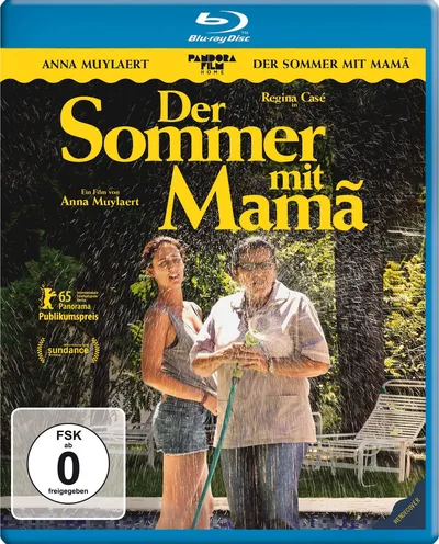 Póster de Una segunda madre