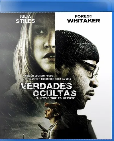 Póster de Verdades ocultas