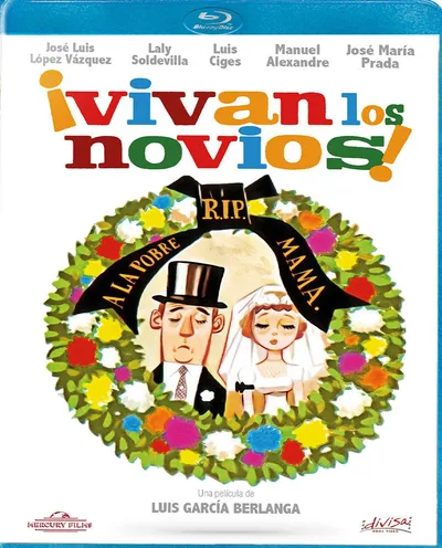 Póster de ¡Vivan los novios!