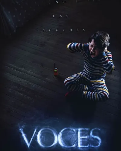 Póster de Voces