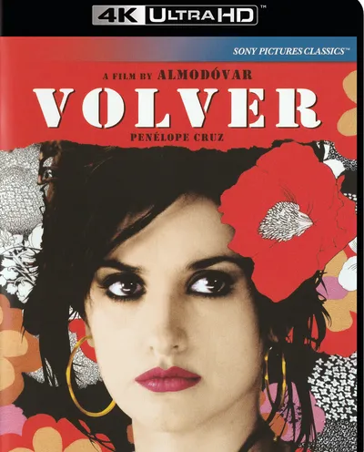 Póster de Volver