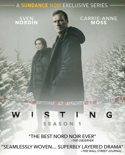 Póster de Wisting