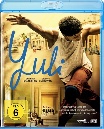 Póster de Yuli